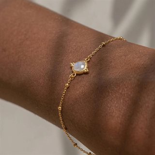 Ananda Soul - Intuitive Wisdom - Armbånd - Guld - Rainbow/Moonstone